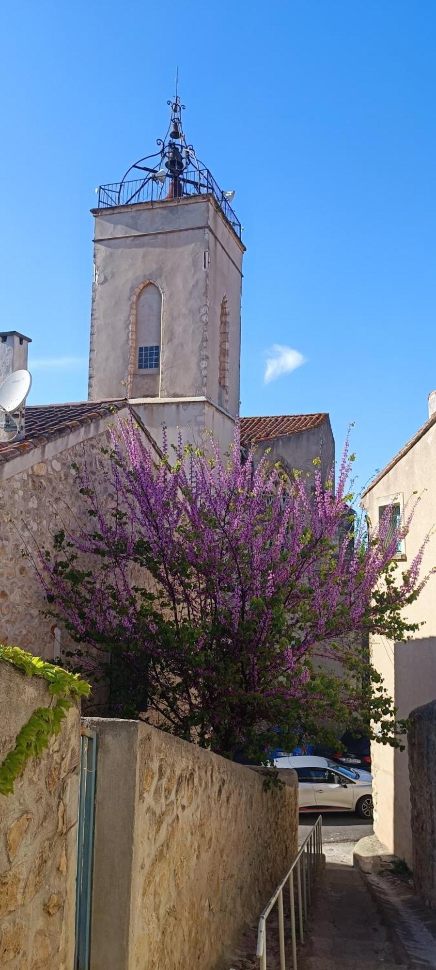 Gite La Capelle Roquefort Des Corbieres Sigean Narbonne Aude Roquefort-des-Corbières Exterior foto